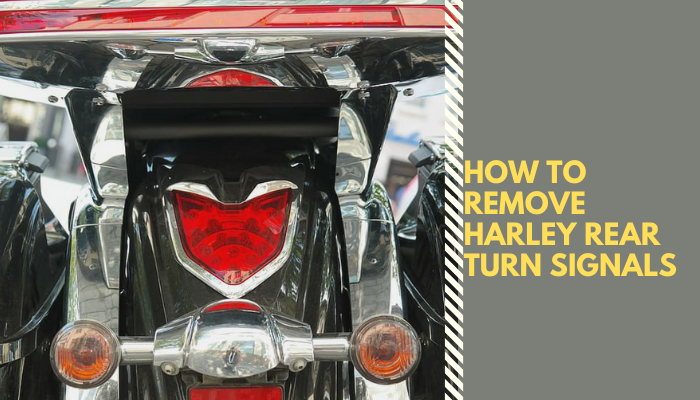 How_to_Remove_Harley_Rear_Turn_Signals