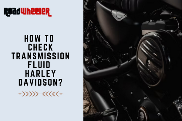 How To Check Transmission Fluid Harley Davidson?