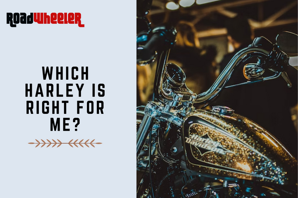 Which Harley Is Right For Me?